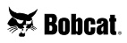bobcat-resized